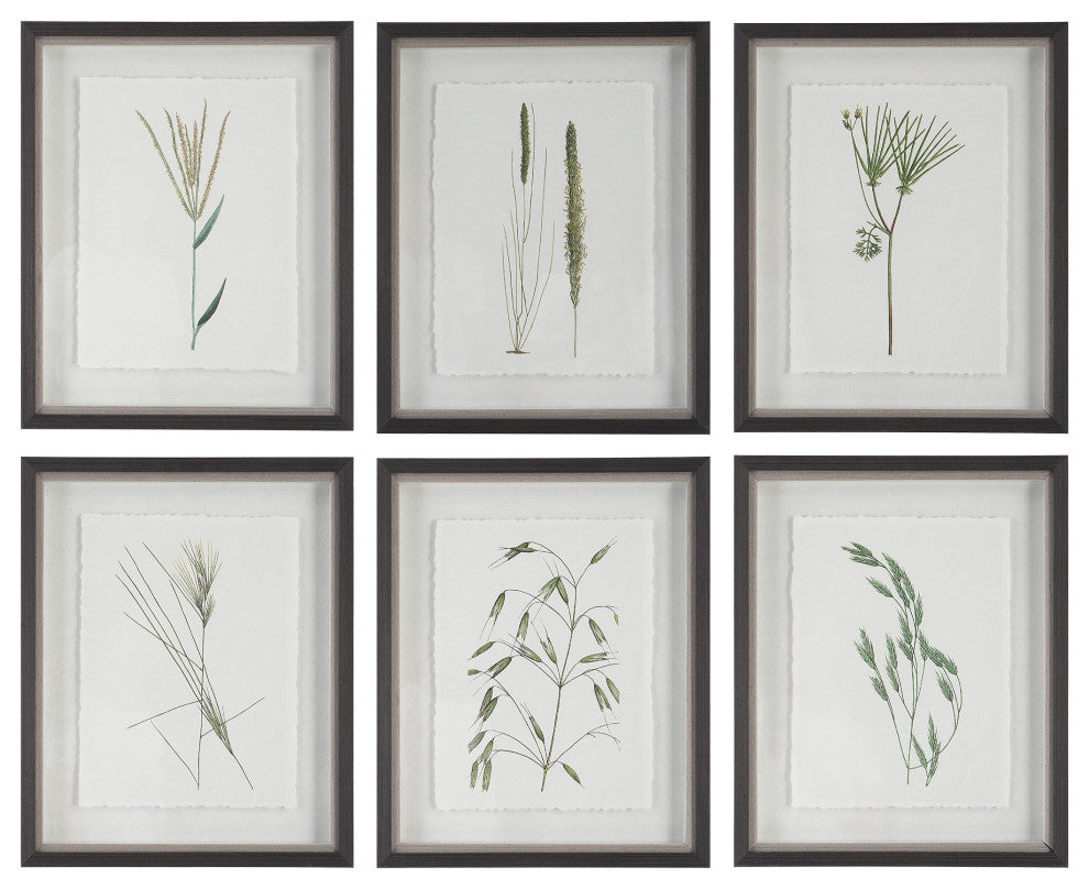 Uttermost 41459 Forest Finds Framed Prints, 6-Piece Set
