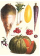Vegetables: Melon, Purple Carrot, Cherry Tomatoes, Onions, Turnip, Leek