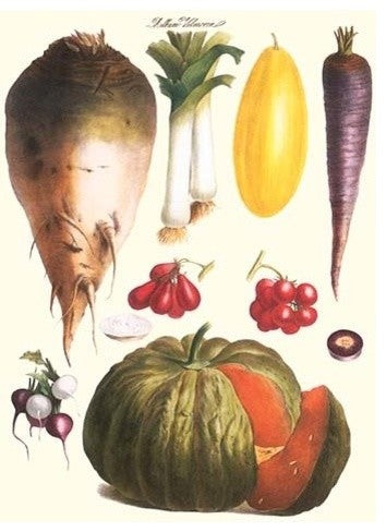 Vegetables: Melon, Purple Carrot, Cherry Tomatoes, Onions, Turnip, Leek