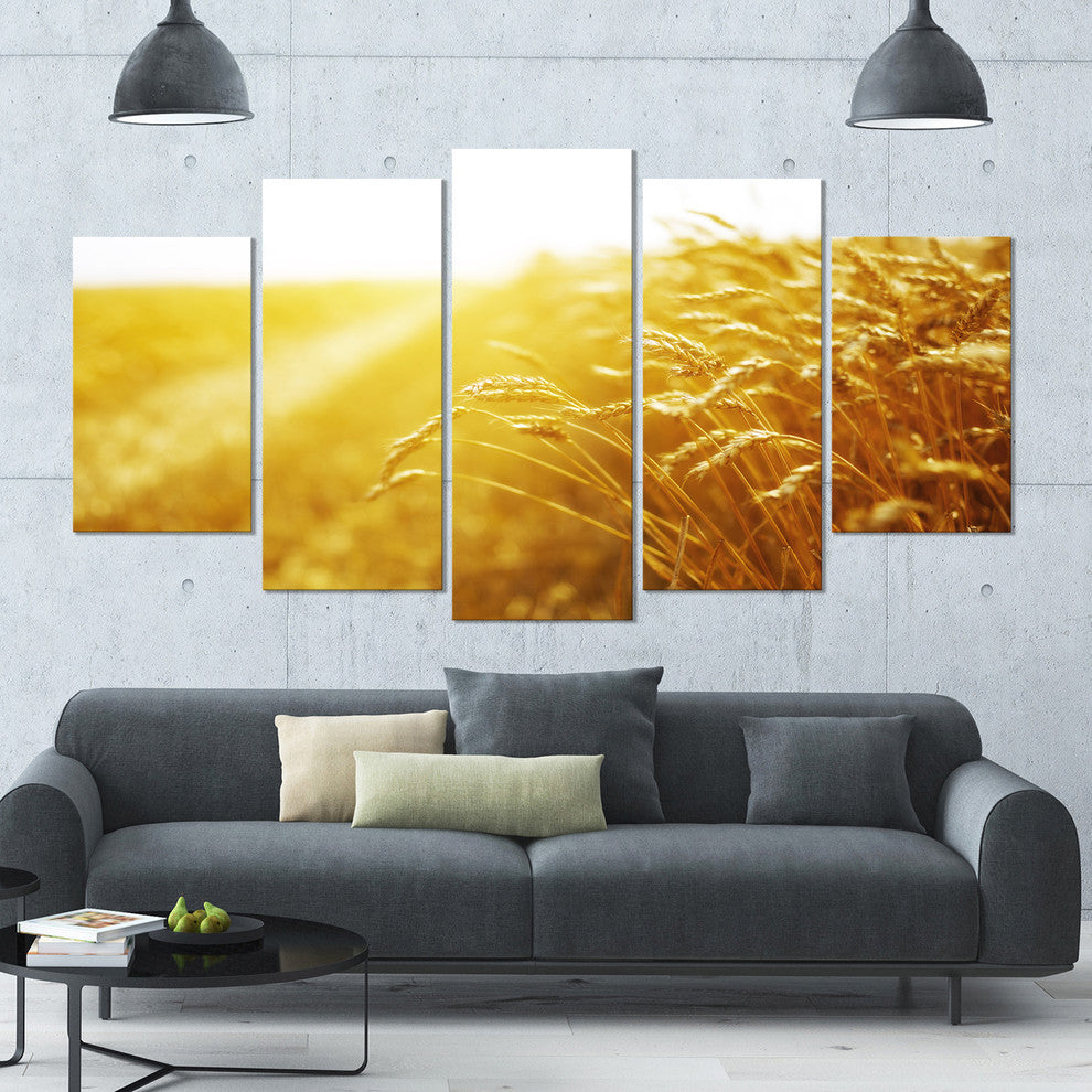 Bright Sunset over Wheat Field, Landscape Canvas Art Print, 60"x32", 5 Panels
