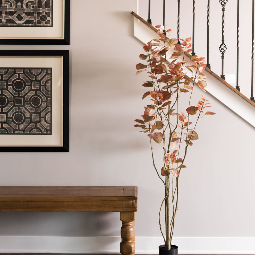Lifestyle image showing the plant in a home setting with surrounding decor.