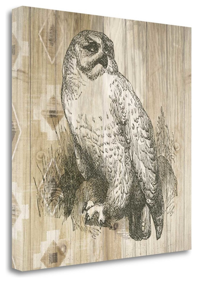 "Natural History Lodge II" By Wild Apple Portfolio, Gallery Wrap Canvas