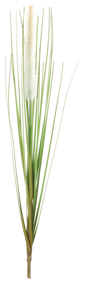 Foxtail Bush, Set of 12