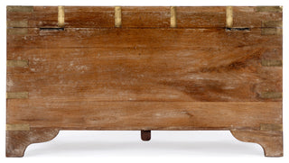 Nador Hand-Painted Brass Inlay Storage Trunk Coffee Table, Sierra Brown