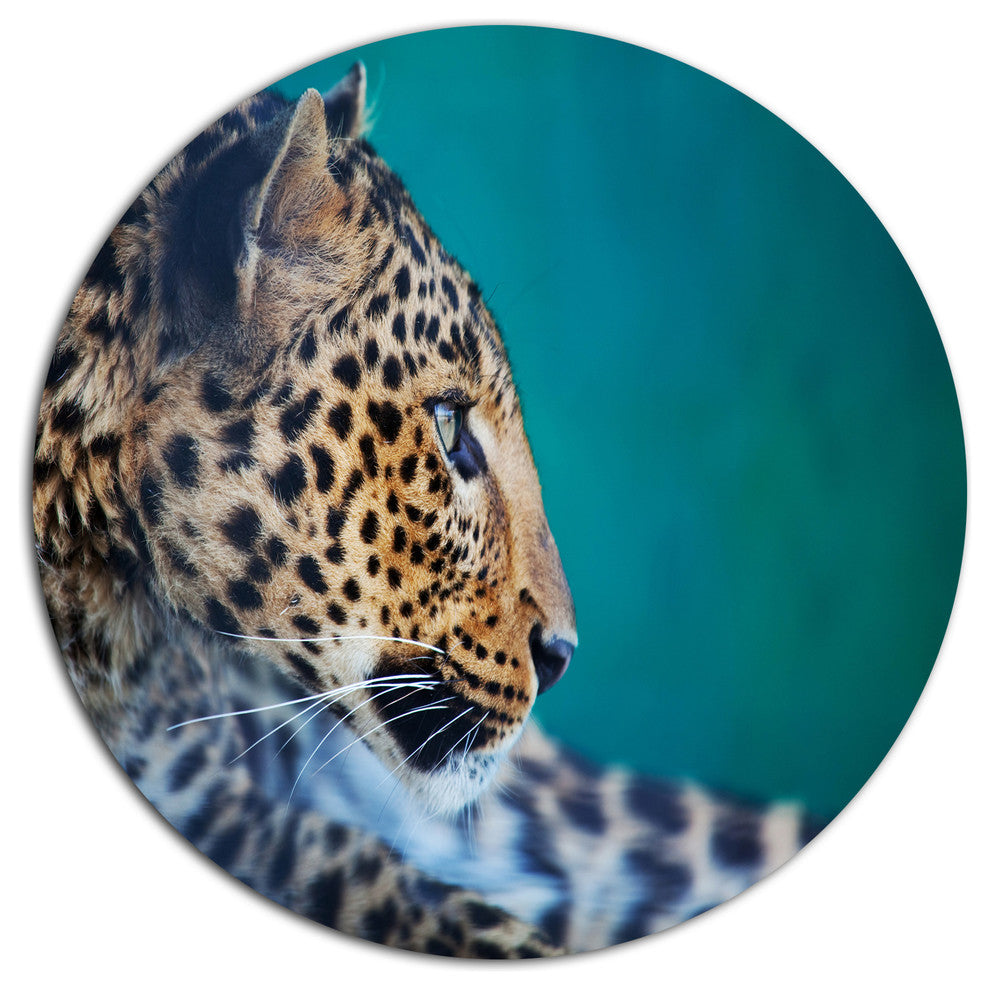 Vigilant Leopard Close-Up View, African Disc Metal Wall Art, 11"
