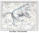Ursa Major - The Great Bear- Gallery Wrapped Canvas Art 28" x 42"