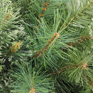 6.5' Mixed Cashmere Pine Medium Artificial Christmas Tree, Unlit