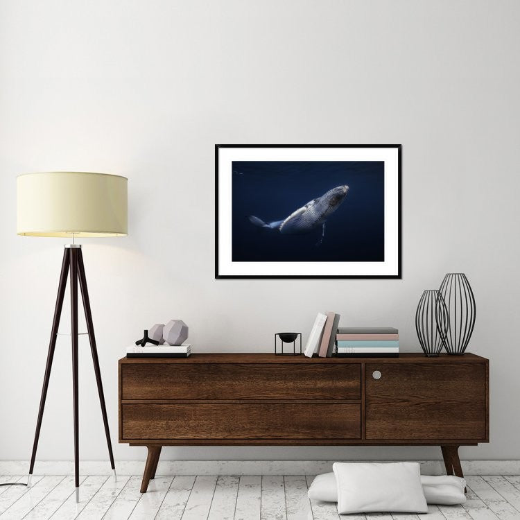"Humpback Whale" Framed Digital Print by Barathieu Gabriel, 44x32"