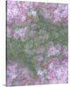 "English Rose III" Wrapped Canvas Art Print, 24"x30"x1.5"