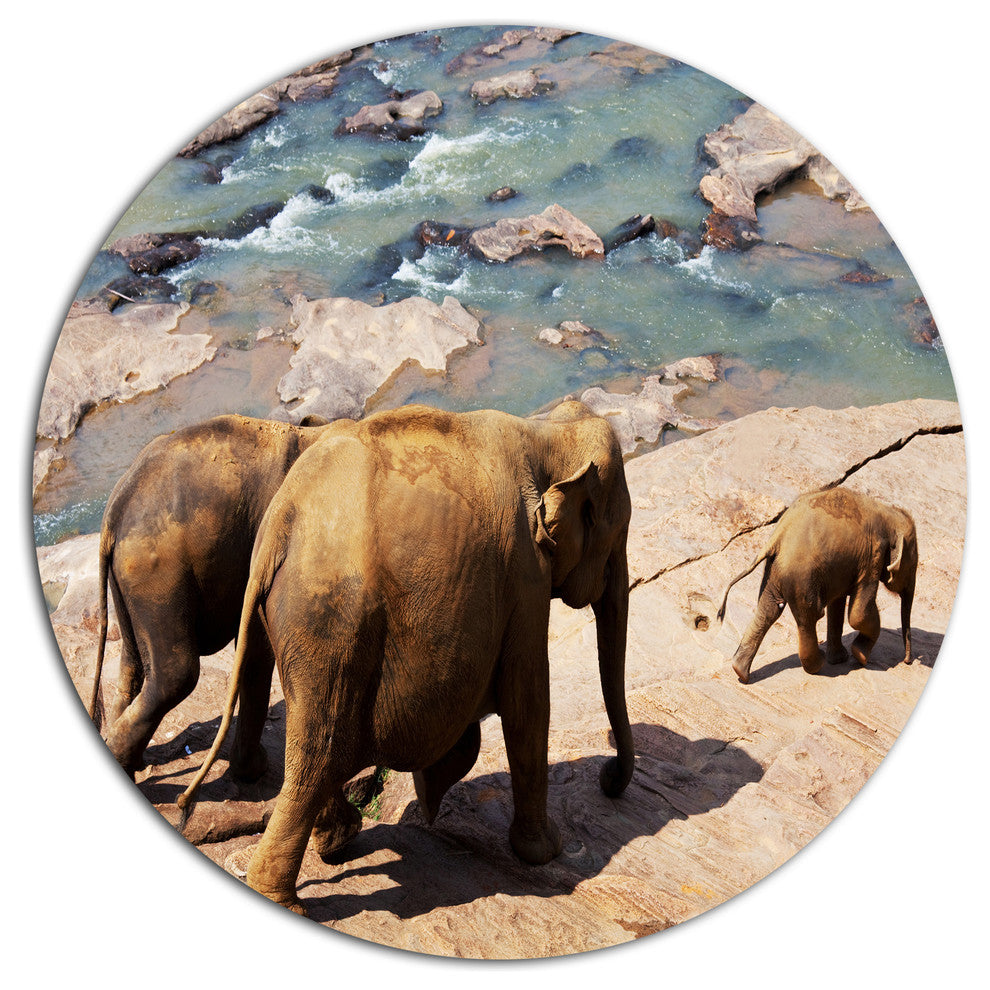 Parade Of Elephants In Sri Lanka, African Art Disc Metal Artwork, 36"