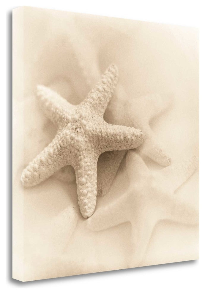 "Il Oceano No. 1" By Alan Blaustein, Giclee Print on Gallery Wrap Canvas