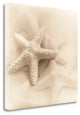 "Il Oceano No. 1" By Alan Blaustein, Giclee Print on Gallery Wrap Canvas