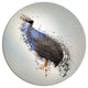 Guinea Fowl Abstract Design, Animal Round Metal Wall Art, 11"