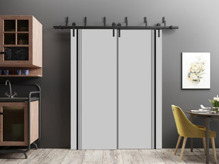 Slab Barn Door Panel 32 x 96 | Planum 0011 Grey Matte with  | Sturdy Finished