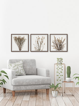 Brown Branches Triptych, 72"x24"
