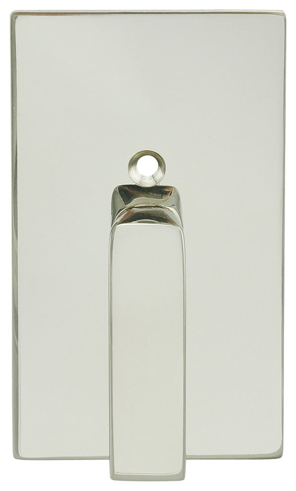 Barn Door Privacy Lock, Rectangle Rose, 2.25" BS TT15 ADA Turn, Bright Stainless
