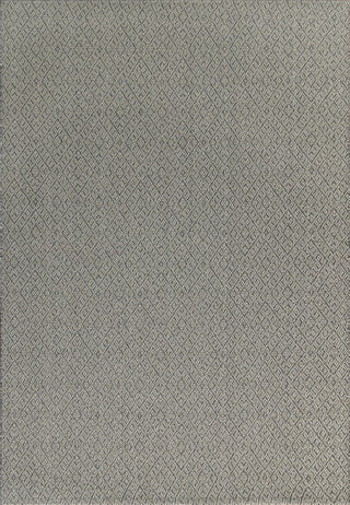 Coastal Grey Area Rug, 3'11"x5'7"