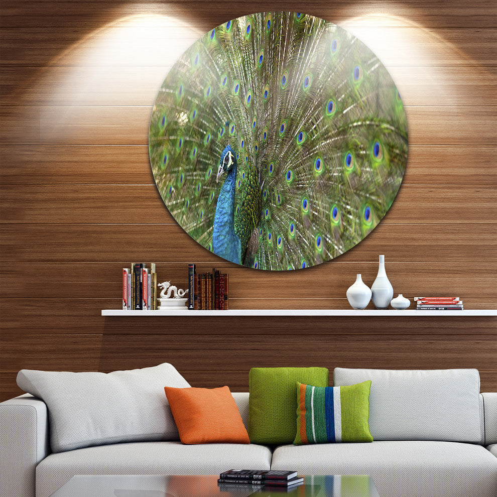 Beautiful Peacock With Feathers, Animal Disc Metal Artwork, 38"