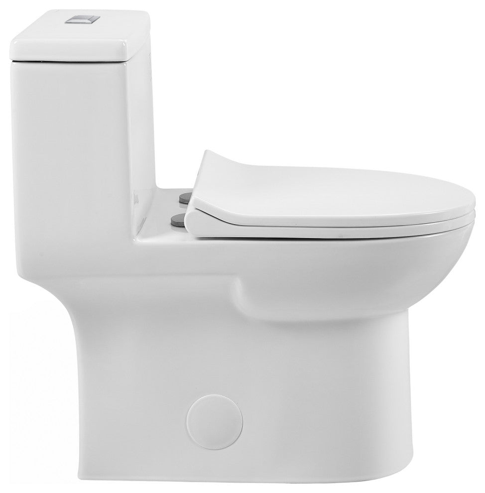 Daxton One Piece Elongated Dual Flush Toilet 1.1/1.6 GPF