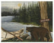 "Northwoods Bear Crop" Digital Paper Print by David Carter Brown, 26"x22"