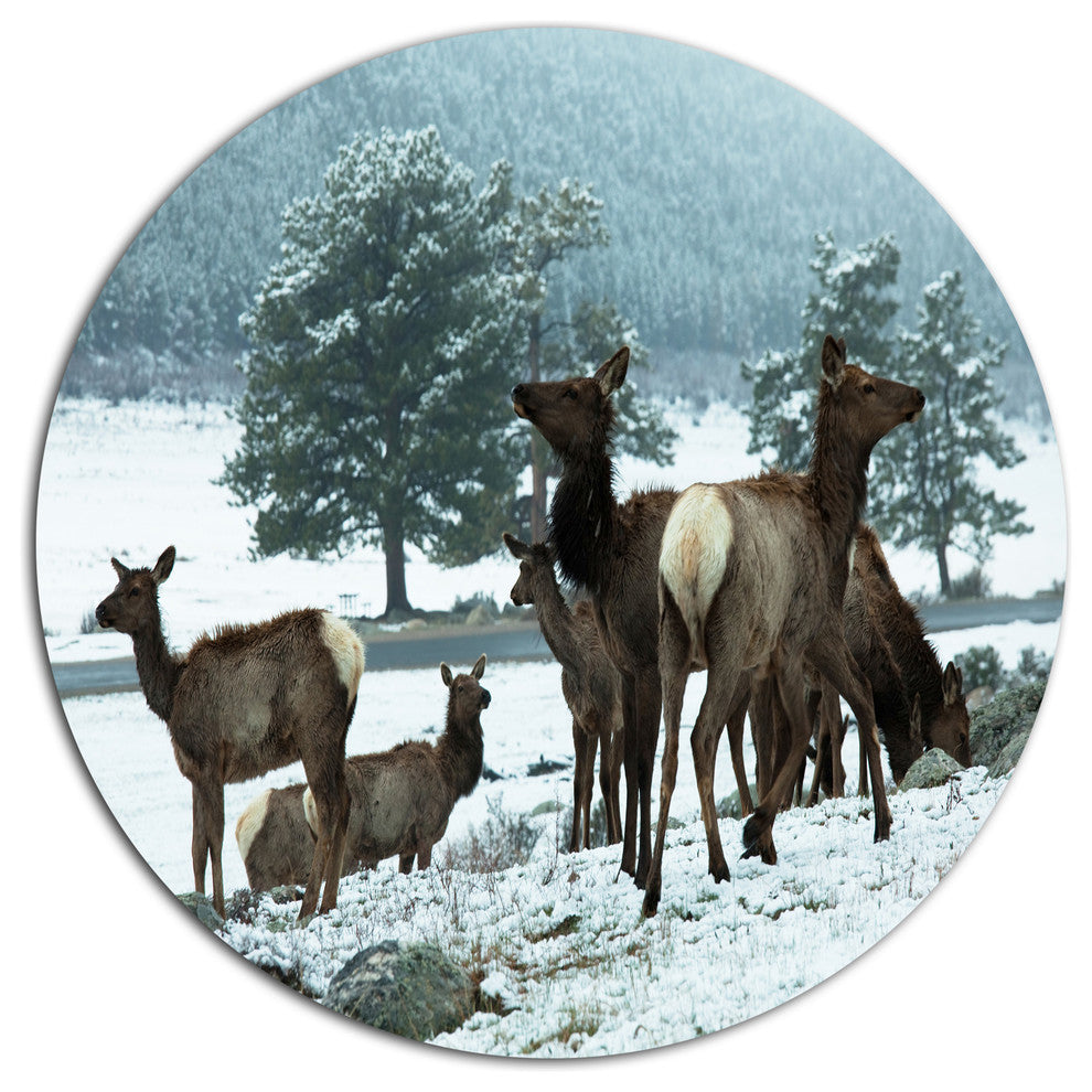 Gang Of Deer In Rocky Mountains, Landscape Disc Metal Wall Art, 36"
