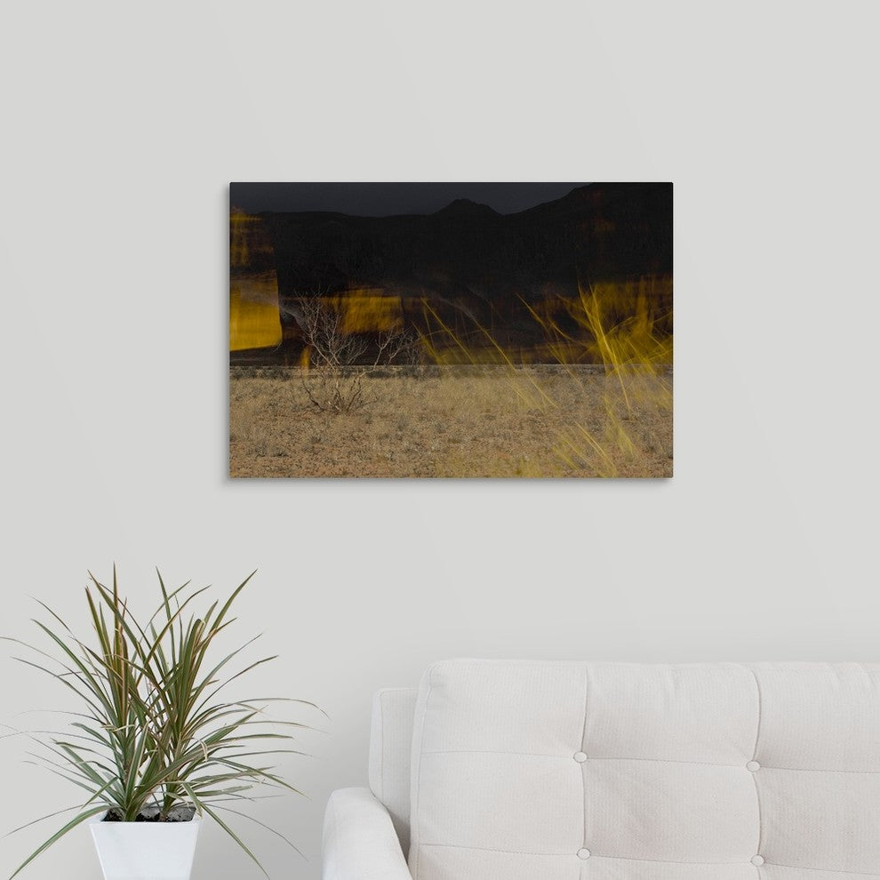 "Flame Trees, Namibia" Wrapped Canvas Art Print, 24"x16"x1.5"