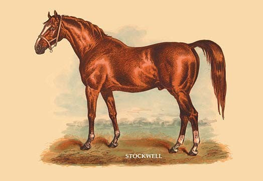 Stockwell - Framed Paper Poster 20" x 30"