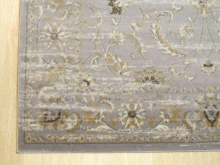 Gray Distressed Bohemian Isabella Rug, 5' 3 X 7' 3