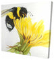 Bee on a Dandelion, Fine Art Gallery Wrapped Canvas, 24"x24"