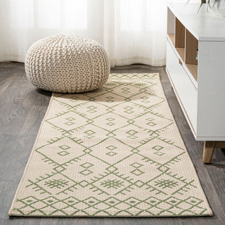Boho Moroccan Indoor/Outdoor Area Rug, Beige/Green, 2'x10'