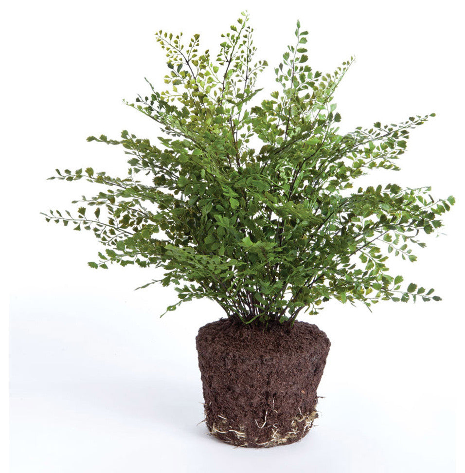 Faux Maiden Hair Fern Drop-In Plant