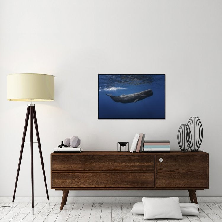 "Sperm Whale" Framed Canvas Giclee by Barathieu Gabriel, 37x25"