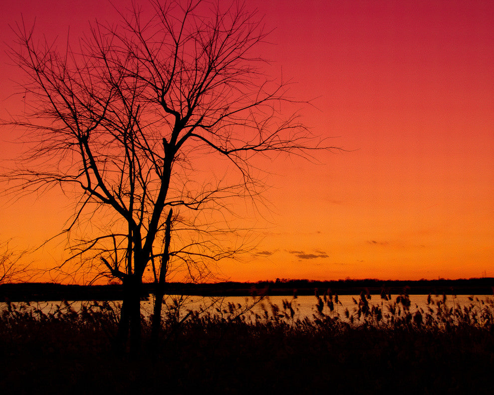 Burning Skies Rural Landscape Framed Photo Paper Wall Art Print, Red Oak, 12" X 16"