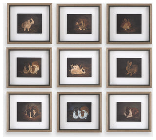 Uttermost 32386 Resting Bunny 16" x 18" Framed Animals Graphic - Multicolored