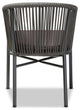 Wynn Modern Gray Rope and Metal Outdoor Dining Chair