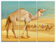 "Camel Walking in Desert" Watercolor Canvas Print, 3 Panels, 36"x28"