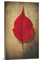 "Red Flame" Wrapped Canvas Art Print, 16"x24"x1.5"