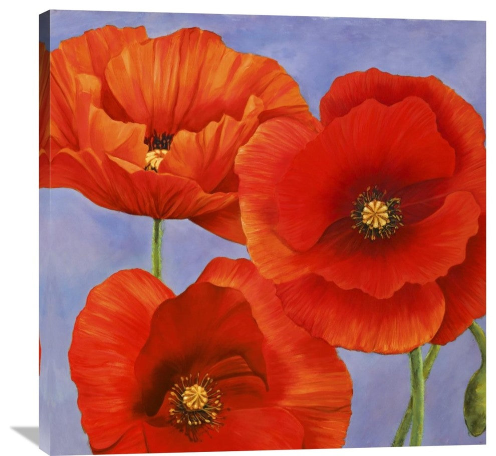 Dance of Poppies II, 36"x36"