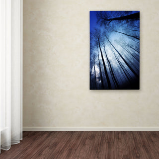 'Blue Forest' Canvas Art by Philippe Sainte-Laudy