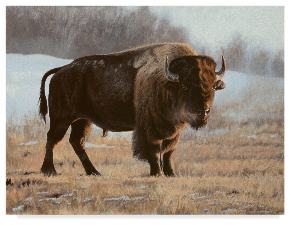 Rusty Frentner 'Bison' Canvas Art, 24"x18"