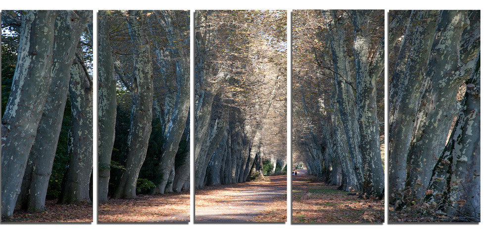 Road in Thick Autumn Woods, Modern Forest Canvas Art, 60"x28", 5 Panels