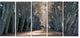 Road in Thick Autumn Woods, Modern Forest Canvas Art, 60"x28", 5 Panels