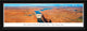 Glen Canyon Dam Panoramic Poster , Select Frame