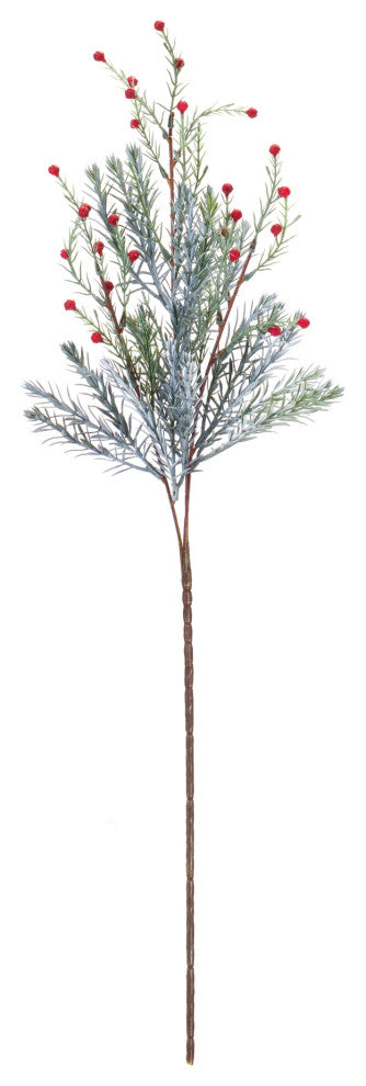 Pine Spray, Set of 12