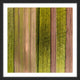 "Crop Rows" Framed Print by Karolis Janulis