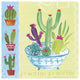 "Cacti Garden III no Birds and Butterflies" Paper Print by Farida Zaman, 32"x32"