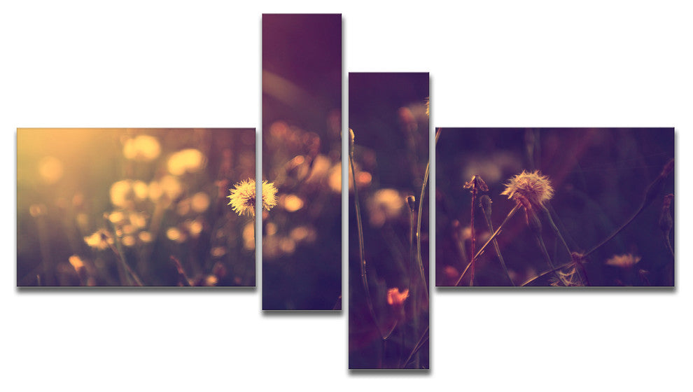 Vintage Dandelion Meadow Photo, Large Floral Canvas Art Print, 60"x32", 4 panels