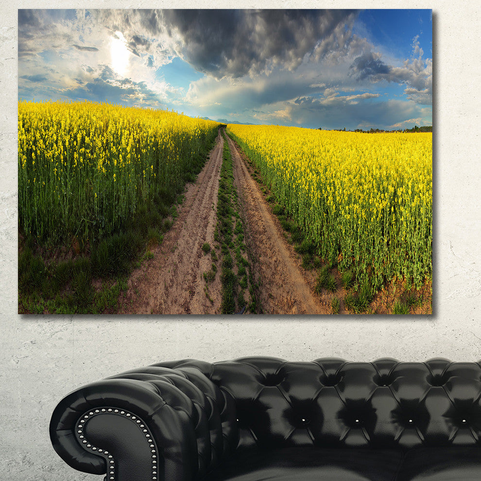 Sunset over Canola Panorama, Landscape Canvas Art Print, 40"x30"