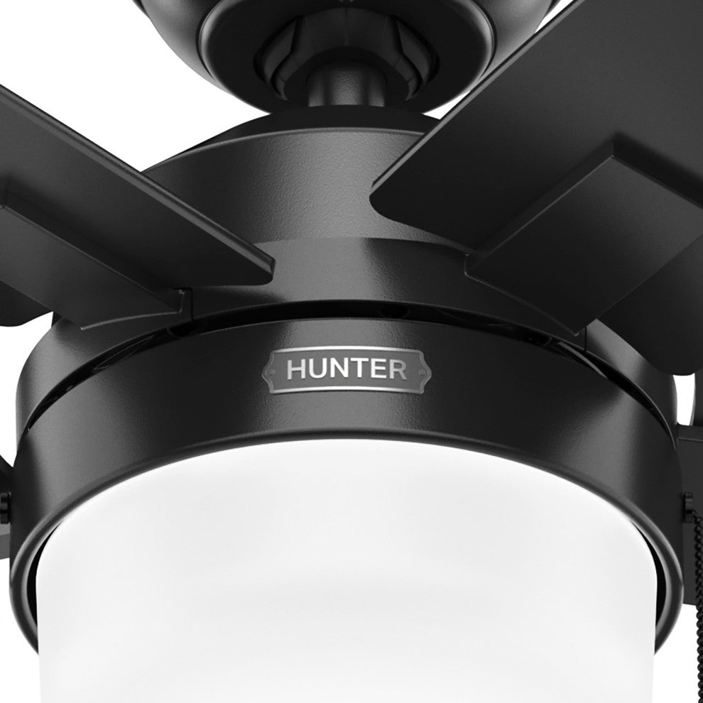 Hunter 44" Anisten Matte Black Ceiling Fan, LED Kit, Pull Chain