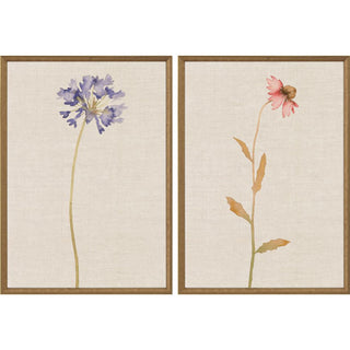 Wild Flourish I S/2